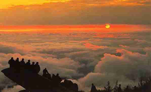 东莞职业技术学院校花施云舒