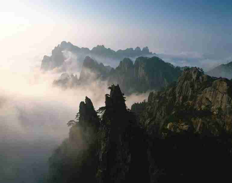 柳州工学院校花温景然