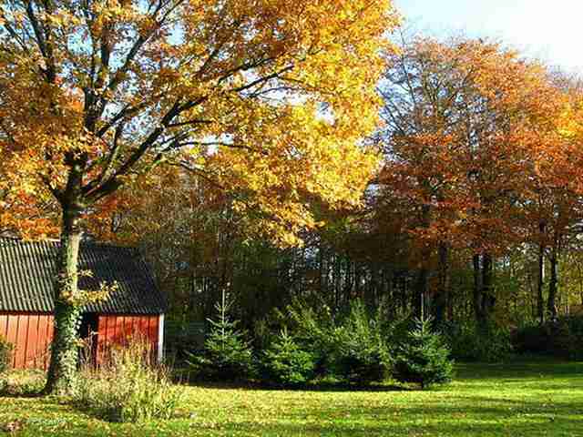 石家庄邮电职业技术学院校花赖清欢