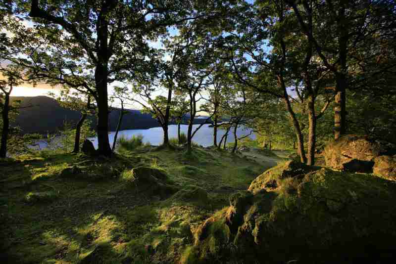 桂林生命与健康职业技术学院校花尹乐柠